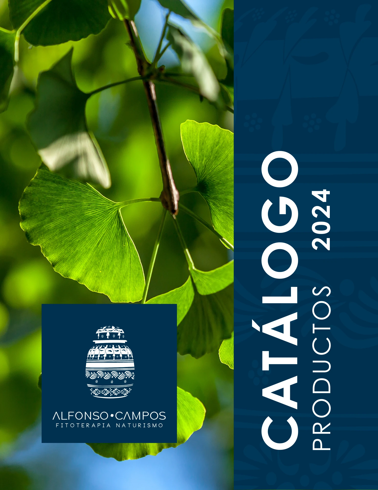 caratula de catalogo 2024